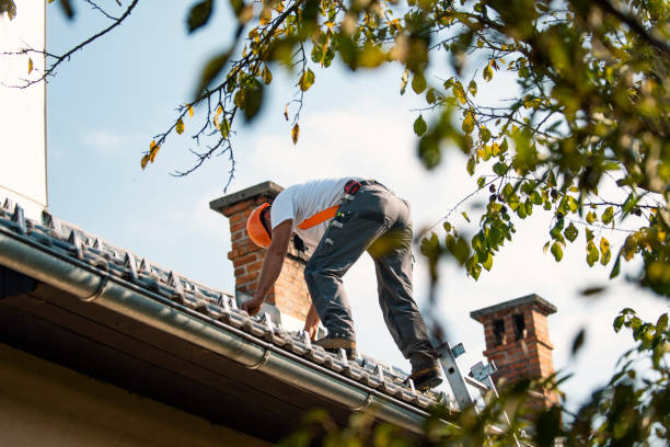 Best Roof Maintenance and Cleaning  in Tahlequah, OK